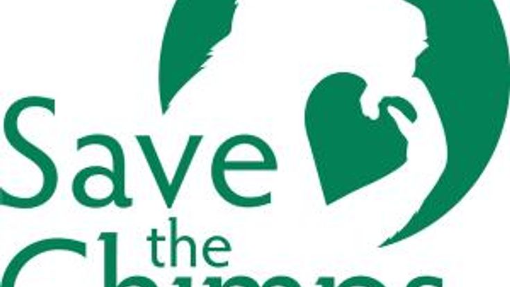 11th Annual Chimpathon - Run/Walk 5K & 10K cover