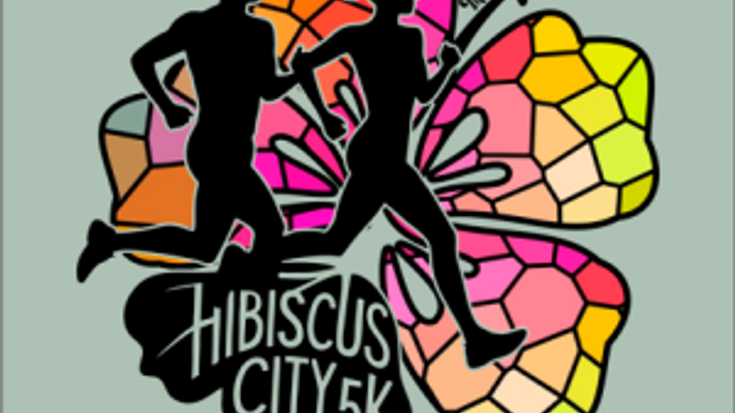 Hibiscus City 5k Training Groups cover