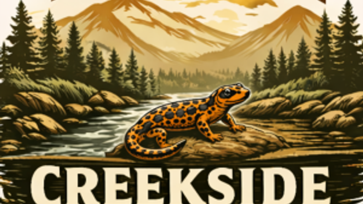 The Yahooligan Creekside Classic cover