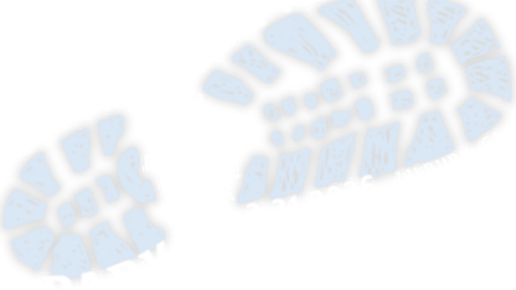 Stampede In The Park 5K and Fun Run cover