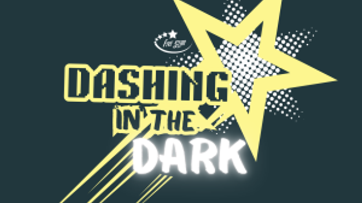 Dashing in the Dark cover