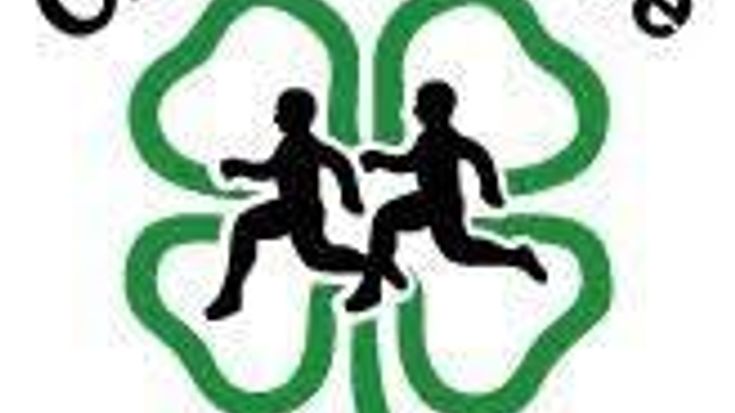 International Home Run Run cover