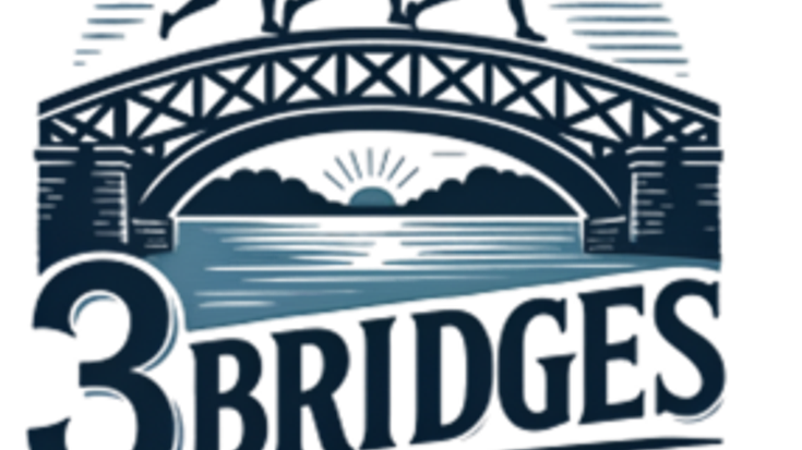 3 Bridges 5K & 10K cover
