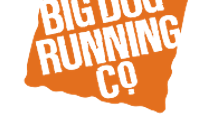 Big Dog St. Paddy's 5K cover
