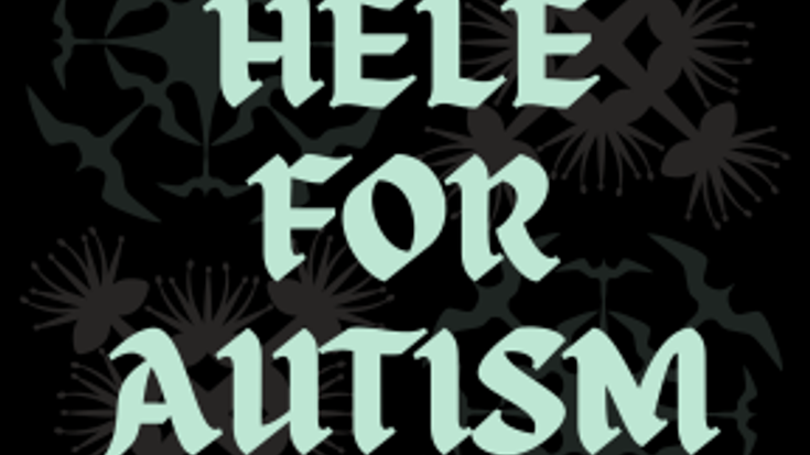 Hele For Autism & Fun Fair 2026 cover