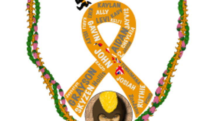 Kaylan's Warrior Fun Run cover