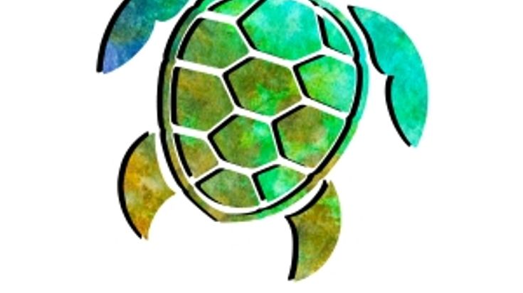 Ho'omau 5K, 10K & Half Marathon cover