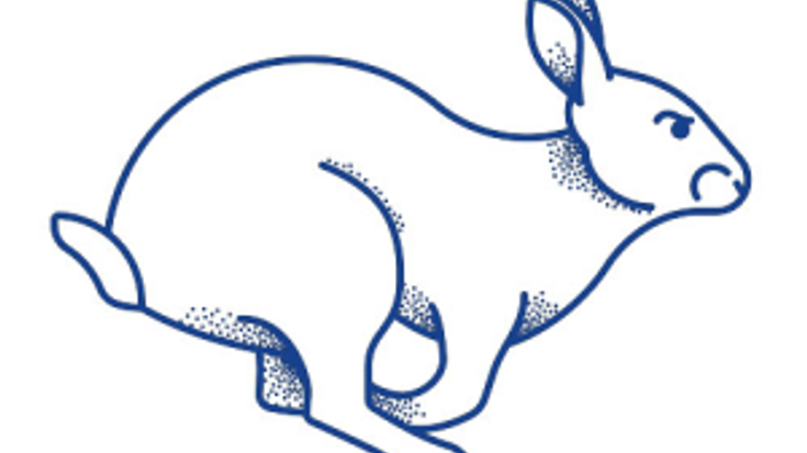 Iowa Trail Run Series: A Midsummer Night's Run cover