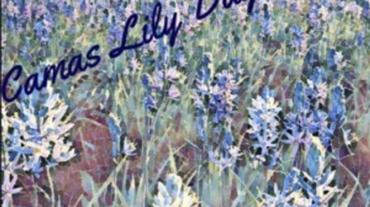 Camas Lily Fun Run cover