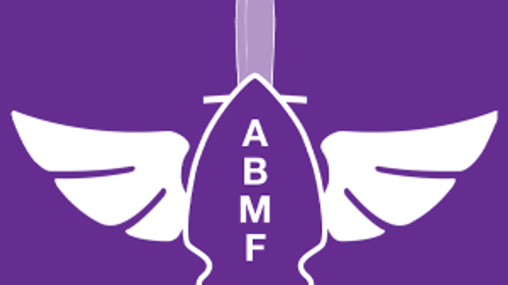 Aaron Butler Memorial Purple Heart Run: Idaho cover