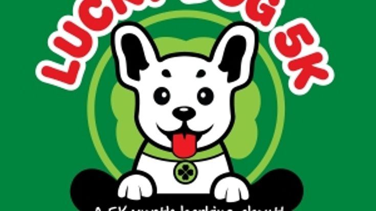 Lucky Dog 5K cover