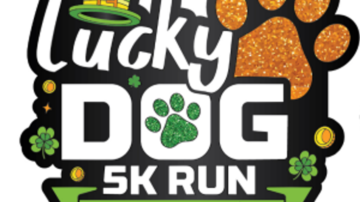 Lucky Dog 5K - Schaumburg cover