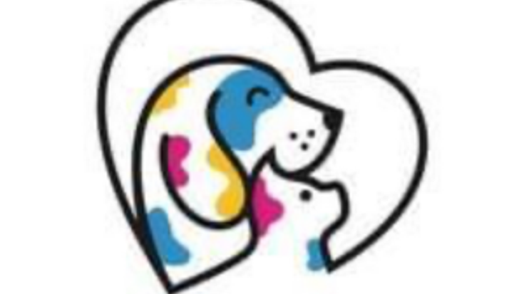 Friends of Saline County Animals - St Patrick's Day 5K cover