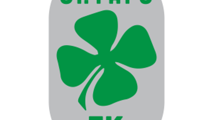 St. Patrick's Day Run Bloomington cover