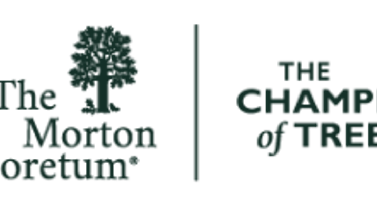 The Champion of Trees 10K cover