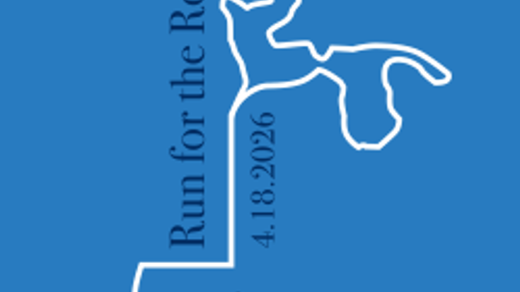 Run for the Rose cover