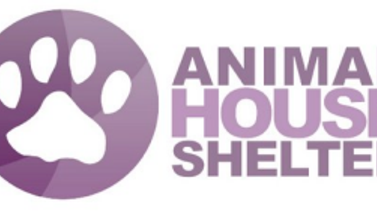 Dash for the Dogs 13th Annual 5K Run/Walk cover