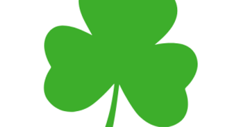 Saint Patrick School Irish Dash cover