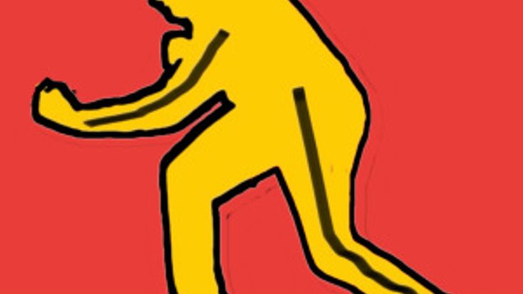 Chase the Shadow Free Fun Run cover