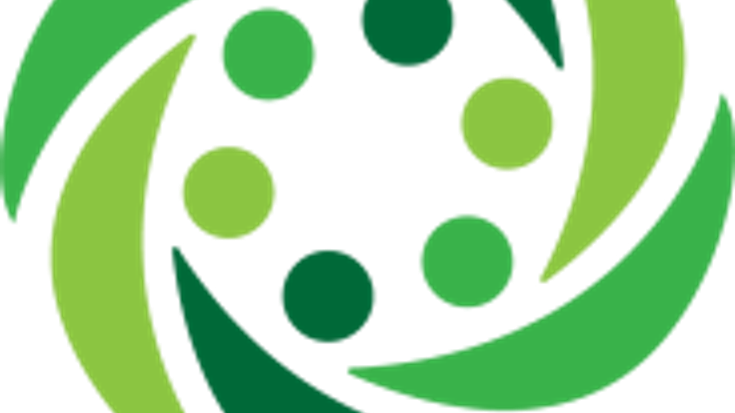 Phelan Fast 5k cover