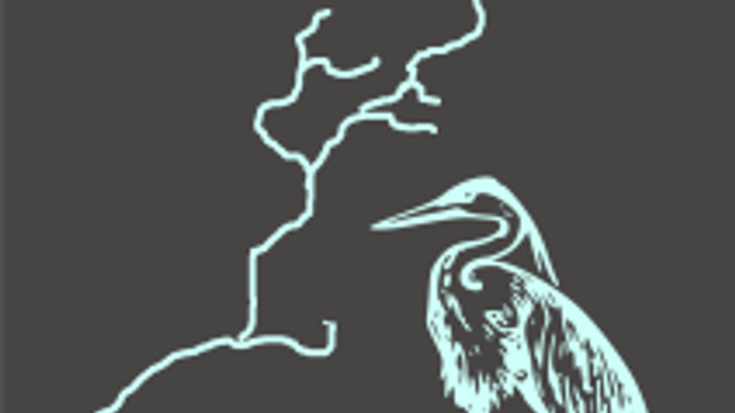 White River Run cover