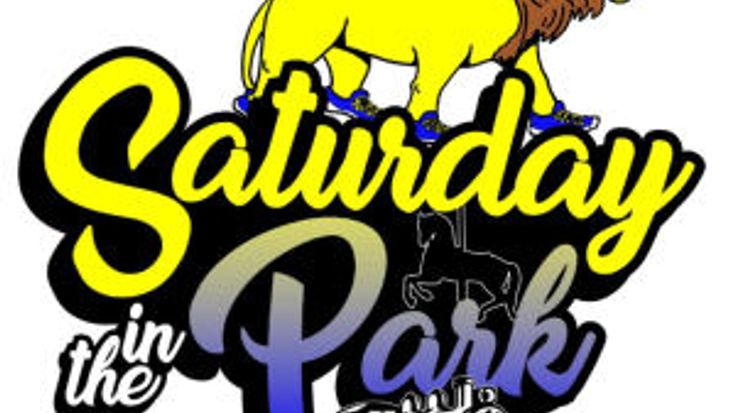 Saturday In The Park cover