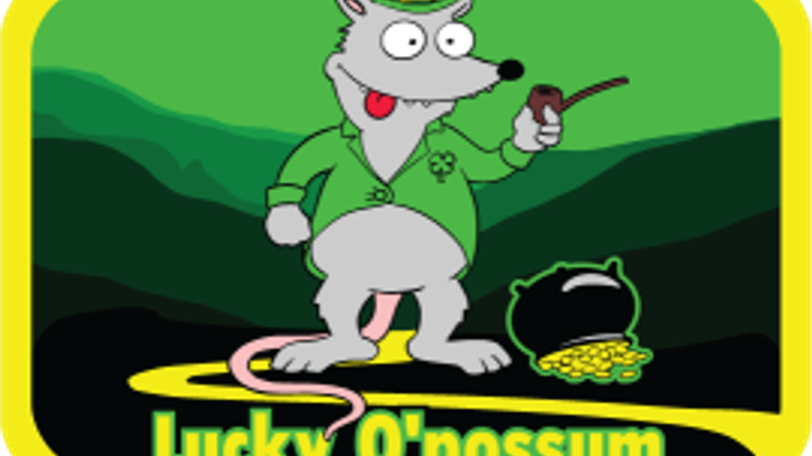 Lucky O'possum cover