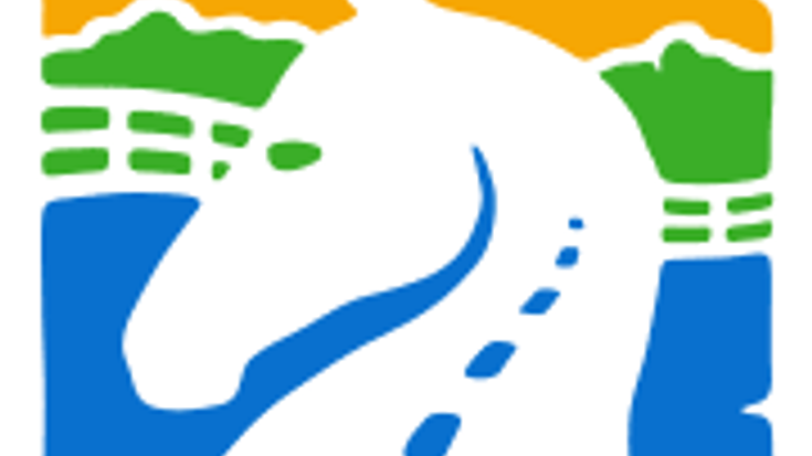 Horse Capital Marathon & Half Marathon cover