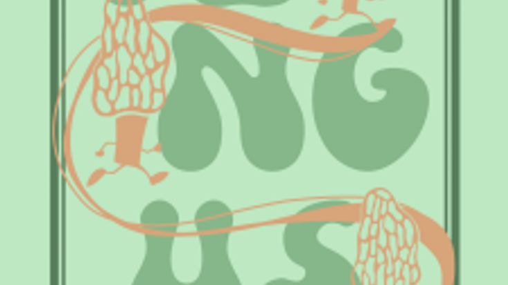 Mountain Mushroom Festival Fungus 5K and 2K Run/Walk cover