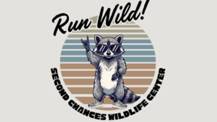 Run Wild cover