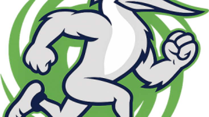 HurryCane Hustle cover