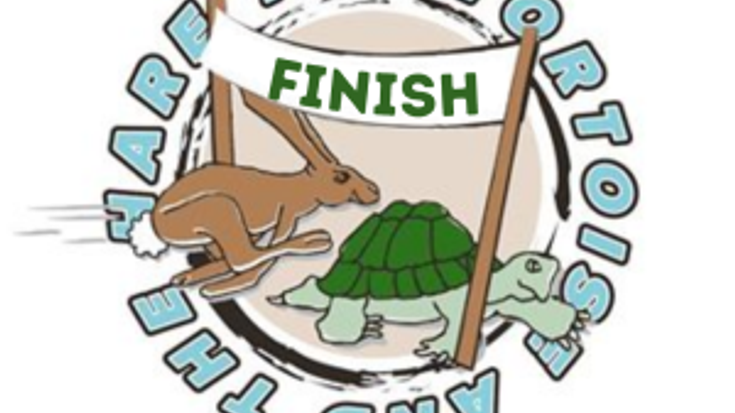 Tortoise and the Hare Trail Races cover