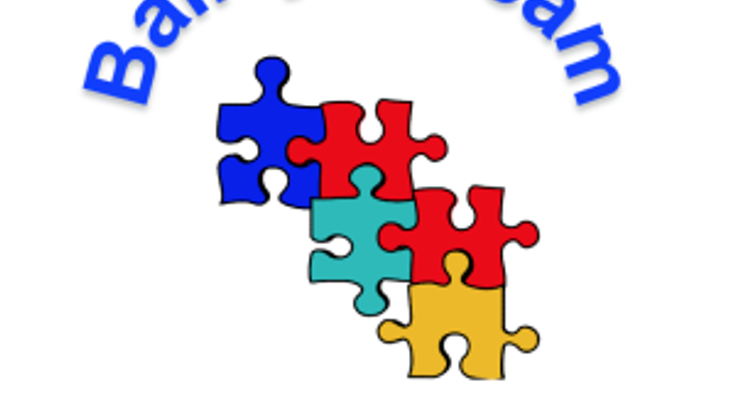 Bailey's Run for Autism cover