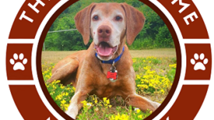 Jack Rome Memorial 5K cover