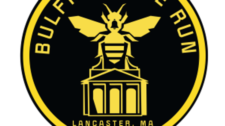 Bulfinch Bee Run cover