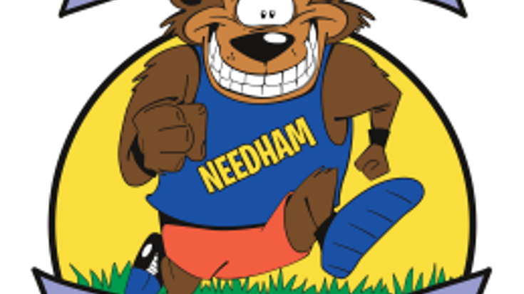 Great Bear Run cover