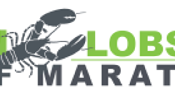 Twin Lobster Half Marathon cover