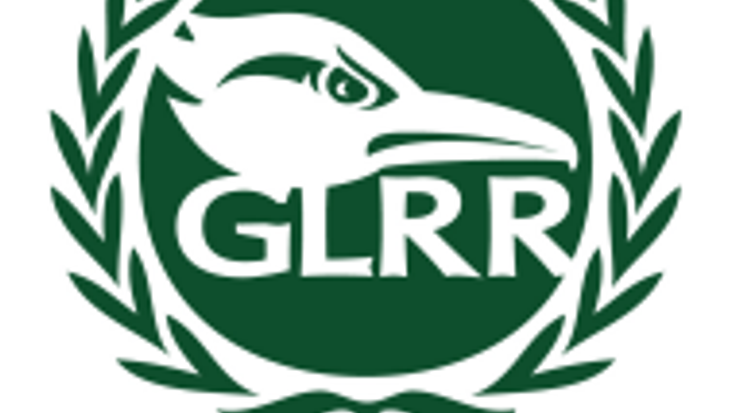 The Angry Chicken Race Series cover