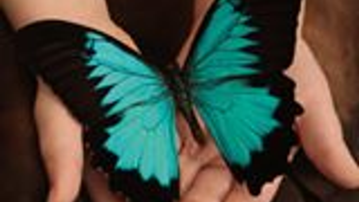 Annual W.A.R. (Walk and Run) Against Ovarian Cancer benefitting Ovations for the Cure cover