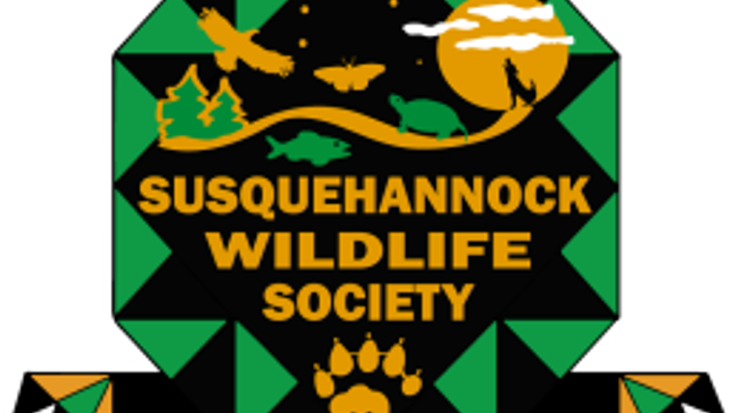 Turtle Derby 5k Trail Race cover