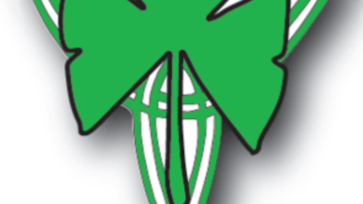 Irish Road Rover 5K cover