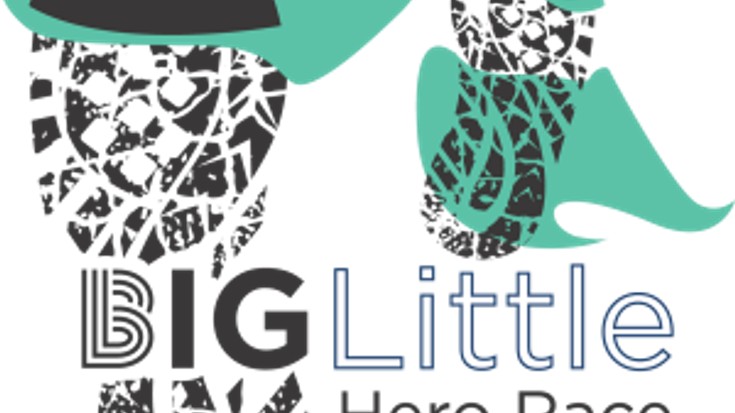 Big Little Hero Race cover