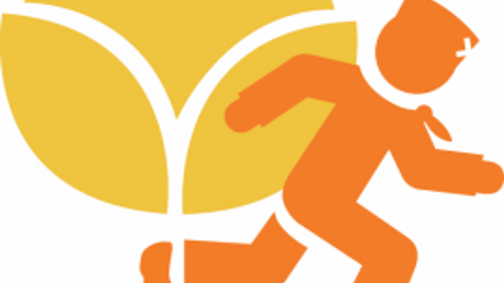 Tulip Time Run Presented by Blue Cross Blue Shield of Michigan cover