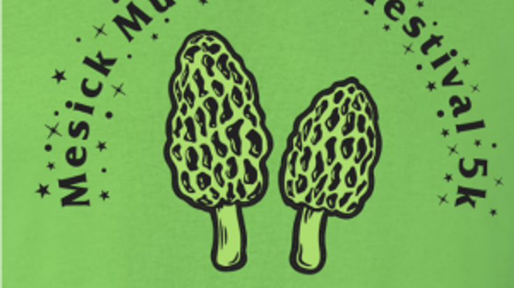 2026 Mesick Mushroom Festival 5K cover
