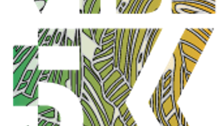 Valley View Middle School Community 5K cover