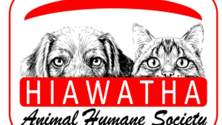 2026 Lake City 5K-9 Fun Run/Walk cover