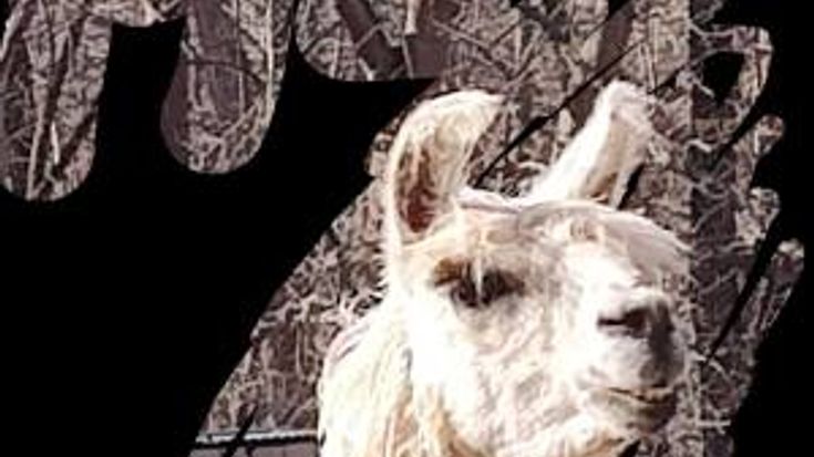 The FROZEN STICK 5 Mile and Half Marathon Trail Run cover