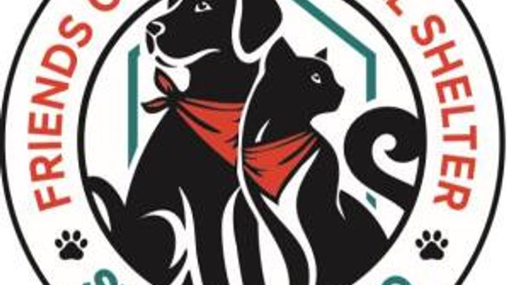 12th Annual Run/Walk for the Paws 5K 2026 cover