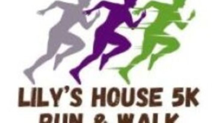 Lily's House 5k cover