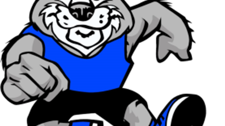 15th Annual 5K Run, Walk & Roll with the Huskies cover